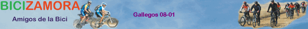 Gallegos 08-01